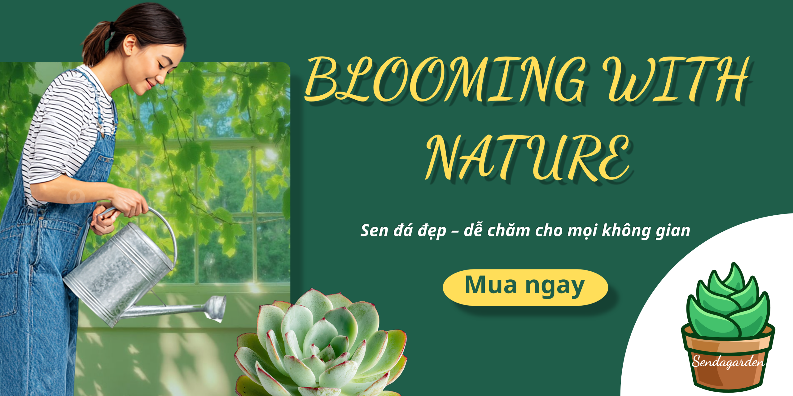 Sen đá Sendagarden – cung cấp sen đá đẹp, đất trồng chất lượng và phụ kiện trang trí cây cảnh. Dễ chăm, phù hợp mọi không gian. Mua ngay hôm nay!