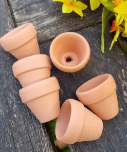 chậu đất nung mini