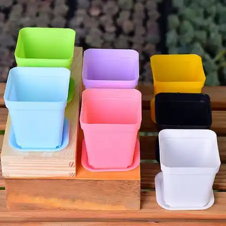 Chậu nhựa mini tiện lợi | Senda Garden - Ảnh 2