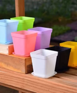 Chậu nhựa mini tiện lợi