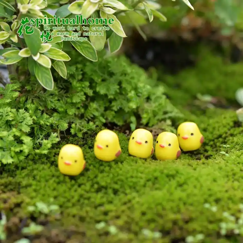 Gà con xinh xắn nhỏ | Senda Garden - Ảnh 2