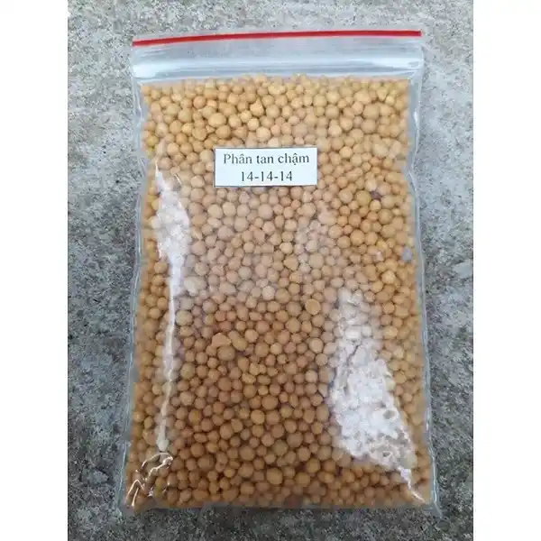 Phân bón tan chậm cao cấp cho xương rồng sen đá giúp cây phát triển khỏe mạnh