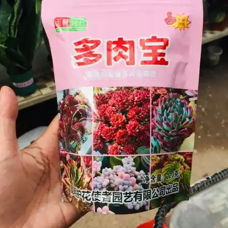 Phân bón tan chậm cho sen đá lên màu đẹp chuyên dụng tại Senda Garden