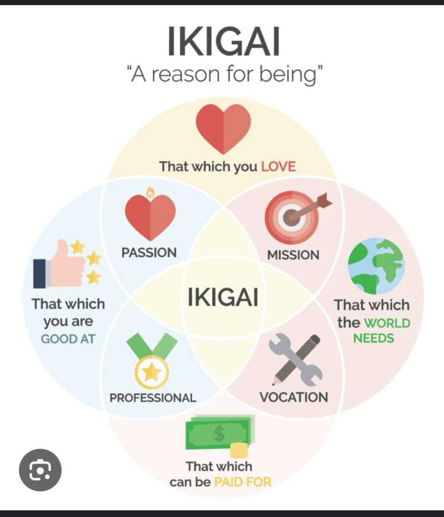 Sơ đồ Ikigai ứng dụng trong chăm sóc sen đá, giúp cân bằng đam mê, kỹ năng và nhu cầu để xây dựng không gian sống xanh ý nghĩa.