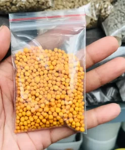 Phân tan chậm dạng viên cho sen đá và cây cảnh, giúp cung cấp dinh dưỡng ổn định, hỗ trợ cây phát triển khỏe mạnh.