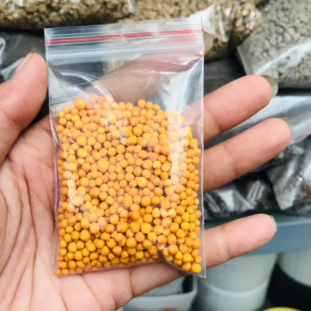 Phân tan chậm dạng viên cho sen đá và cây cảnh, giúp cung cấp dinh dưỡng ổn định, hỗ trợ cây phát triển khỏe mạnh.