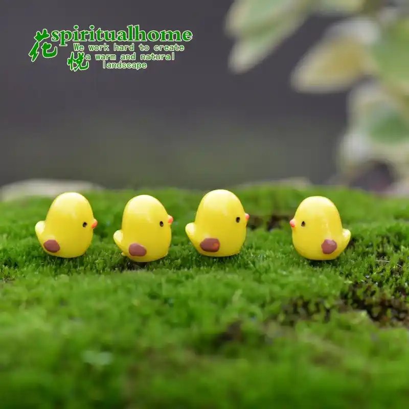 Gà con xinh xắn nhỏ | Senda Garden
