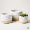 Bộ 3 chậu gốm trắng vân sóng đế đất nung trồng sen đá – Senda Garden