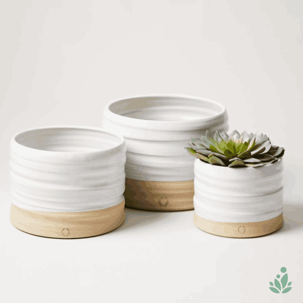 Bộ 3 chậu gốm trắng vân sóng đế đất nung trồng sen đá – Senda Garden