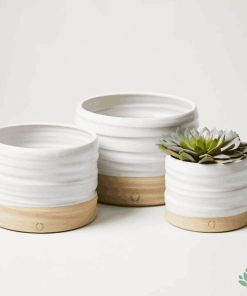 Bộ 3 chậu gốm trắng vân sóng đế đất nung trồng sen đá – Senda Garden