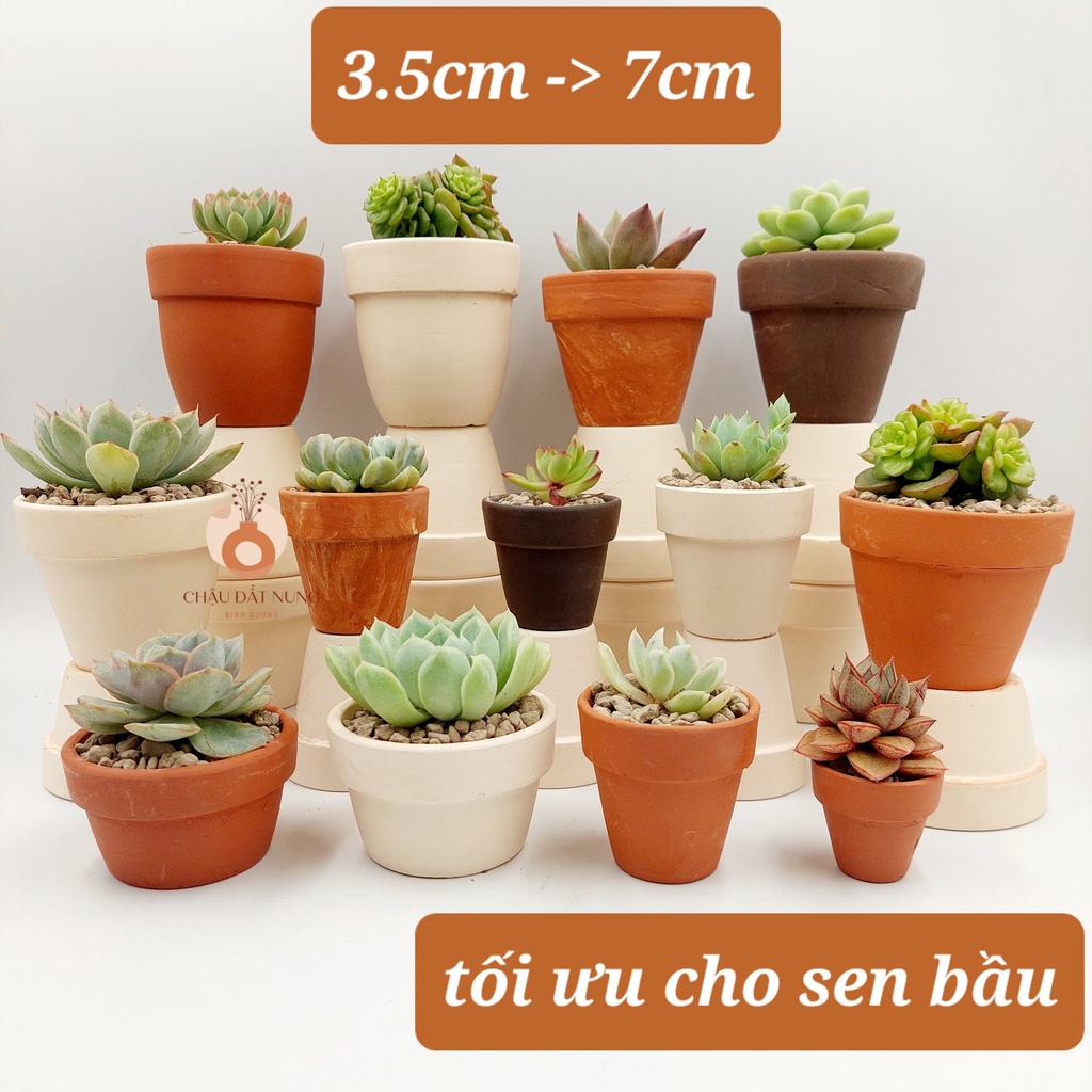 Không gian vườn Senda Garden