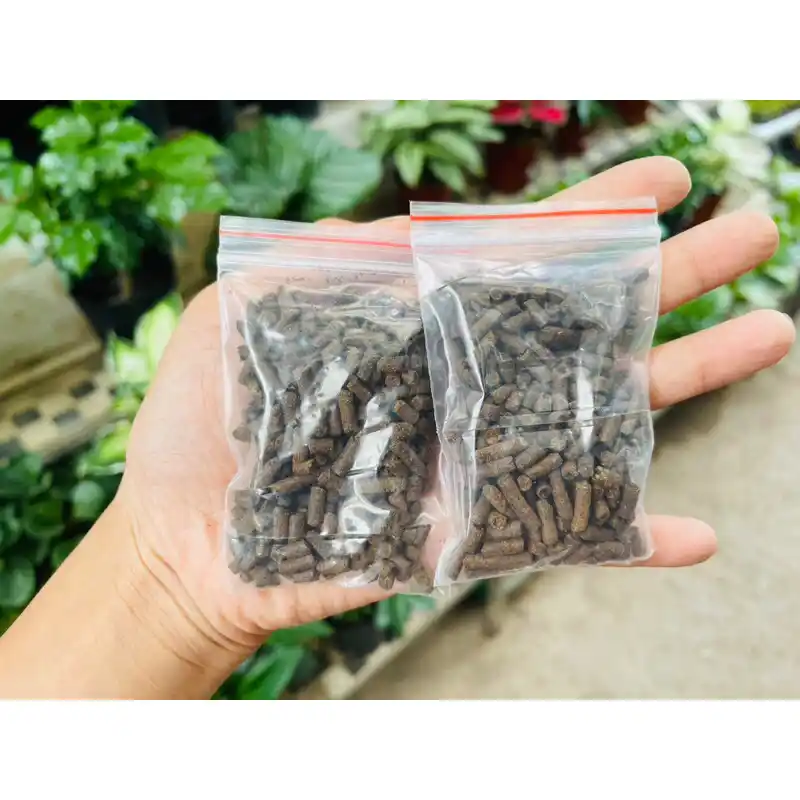 Phân bón tan chậm cho sen đá lên màu đẹp | Senda Garden - Ảnh 3
