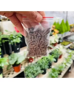Phân bón tan chậm cho sen đá